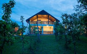 Holiday Home Dandelion With Hot Tub & Sauna